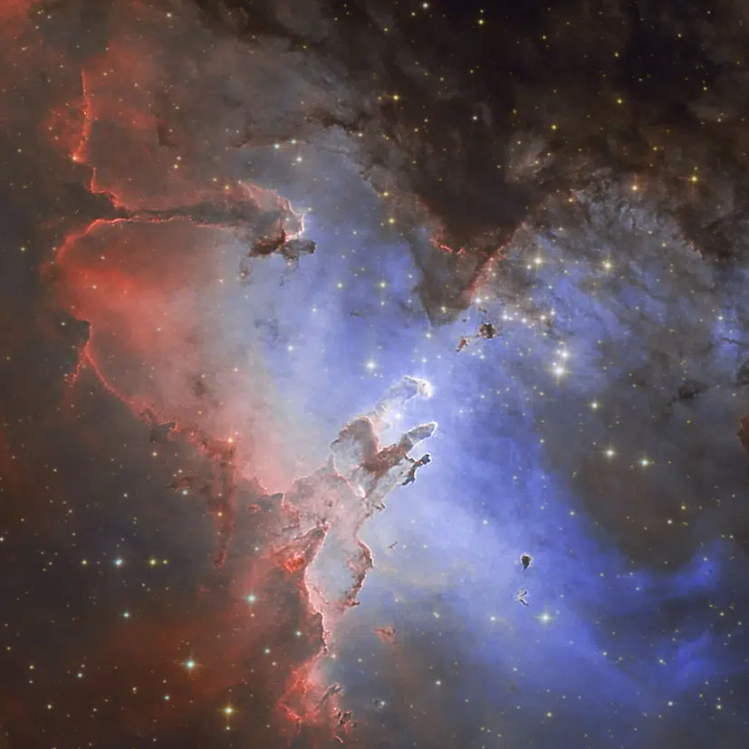 FótonAstro CFN8 Telescópio Newtoniano Astrografo 203mm f/3.9 - Imagem 6
